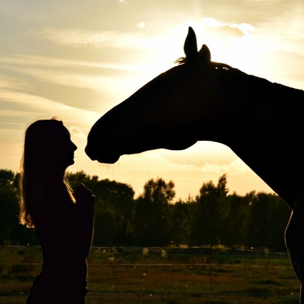 horse and girl silhouette