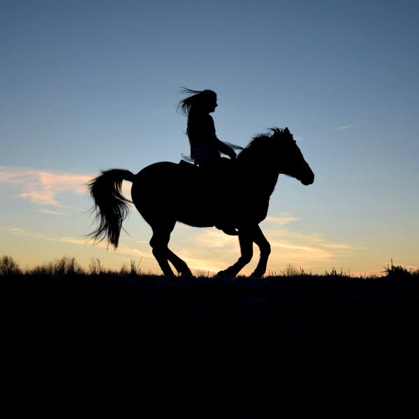 Girl Riding The Horse